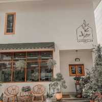 Caterpillar cafe