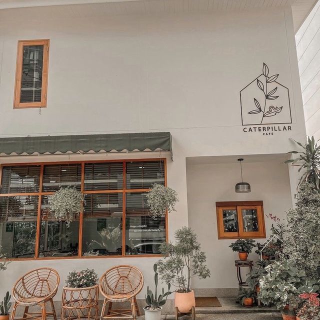 Caterpillar cafe