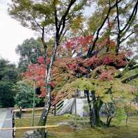 【京都府】足利義満が描いた極楽浄土の世界。秋の鹿苑寺へ