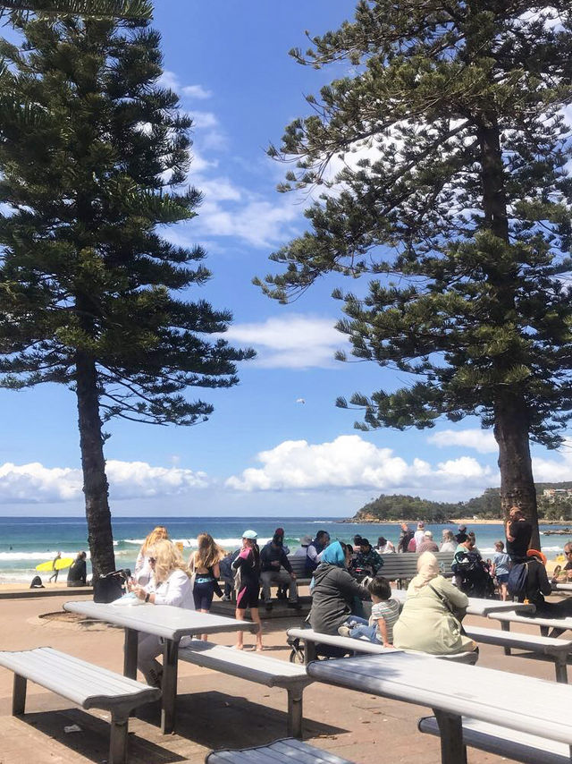 เที่ยวทะเลอากศ 17c Manly Beach🇦🇺