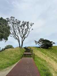 City view from Mt Eden