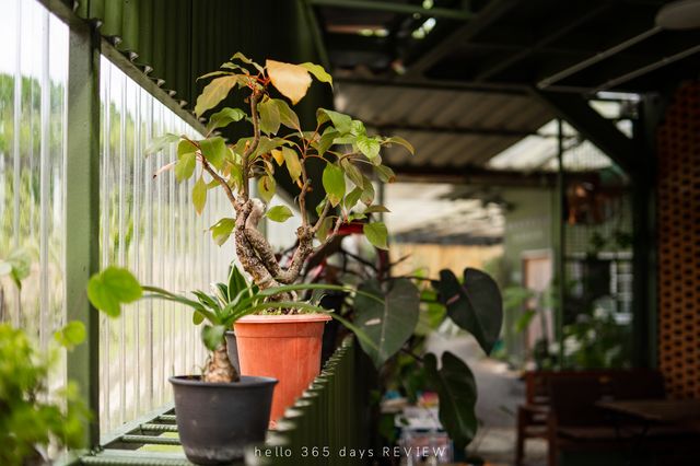 บ้านใบ Cafe Homemade ทำด้วย HeartMade