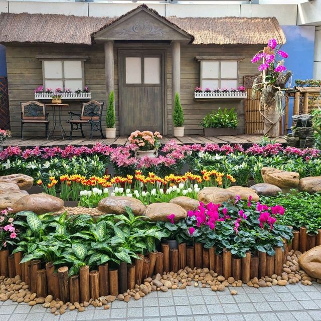 新春的香港公園x太古廣場🐇🎊🌺