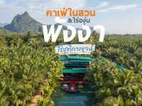 คาเฟ่ในสวนองุ่น @พังงา