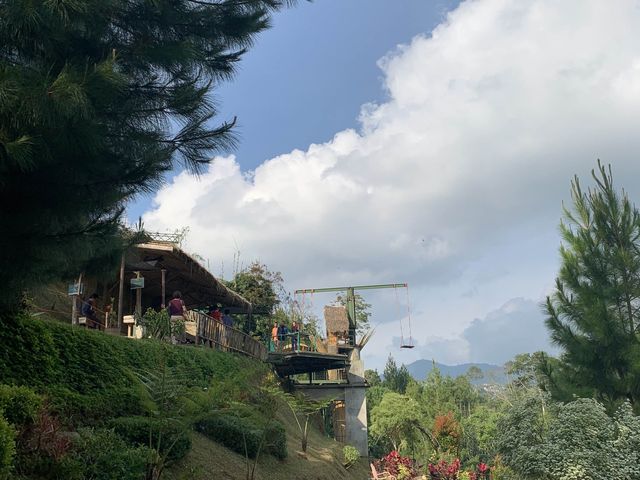 Zip bike 🚴 ride in the air 🤗