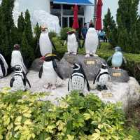 去邊去玩？🤣來香港Ocean Park。