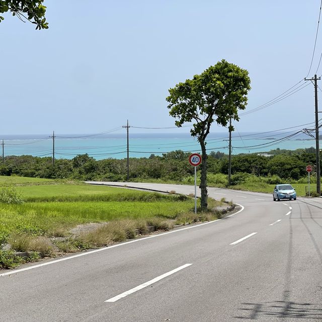 石垣島　旅行✈️