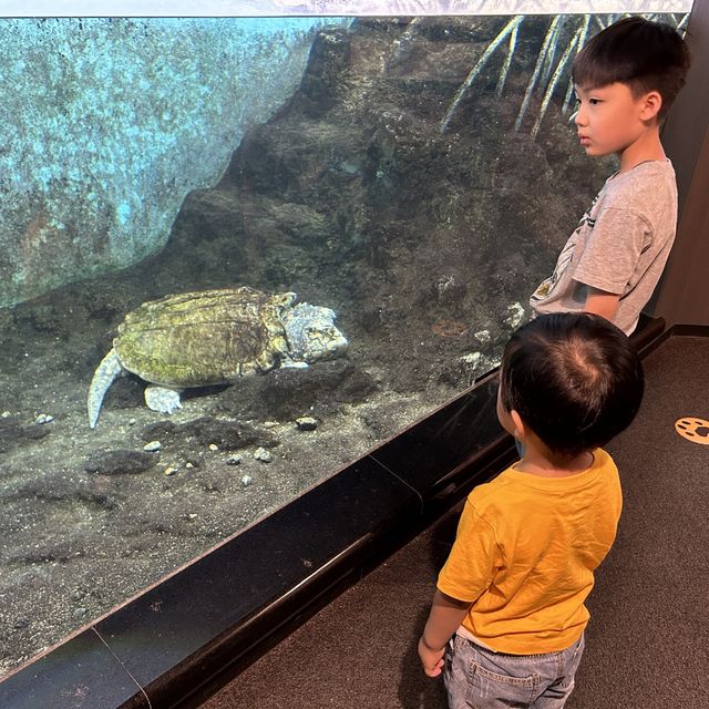 【 市區內的傳統動物園。天王寺動物園 】