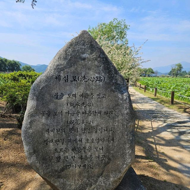 서울근교, 양평 세미원 자연속에서 힐링하기