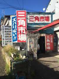 北海道不可錯過的小樽🍣🚣🛍