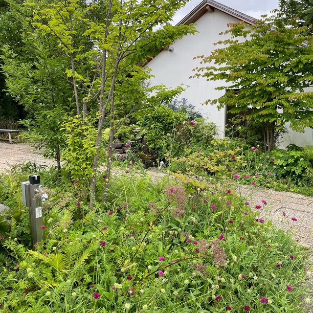【ペットとお出かけ】河口湖の人気スポット「富士大石ハナテラス」