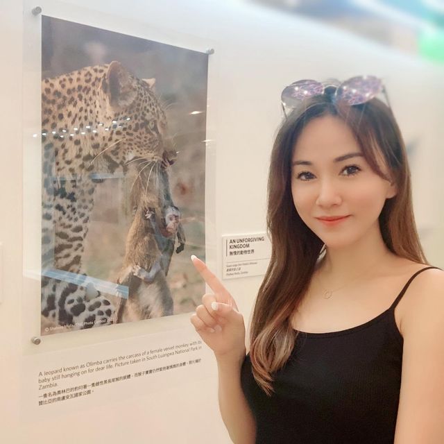 Pacific place 📷《 攝觸自然：TNC攝影比賽作品展 》，傳達大自然之美及喚醒公眾保育熱忱❣️