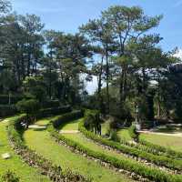 A Paradise in the City of Pines
