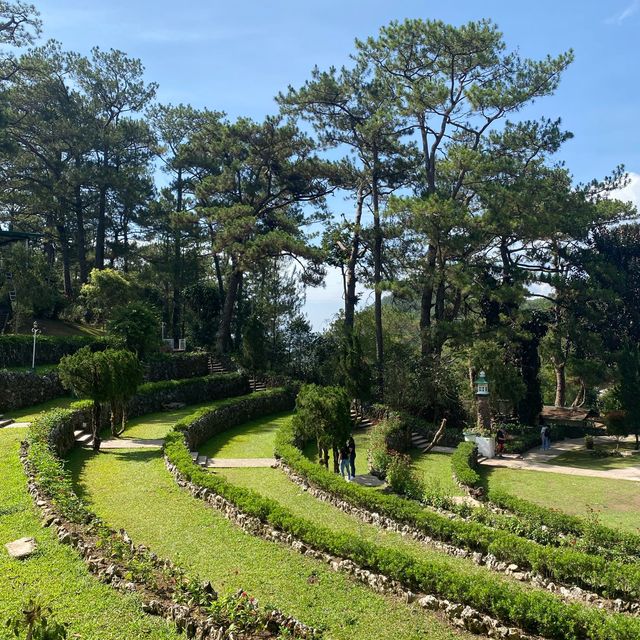 A Paradise in the City of Pines