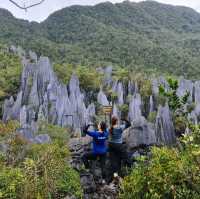 Toughest Climb - Mulu Pinnacles