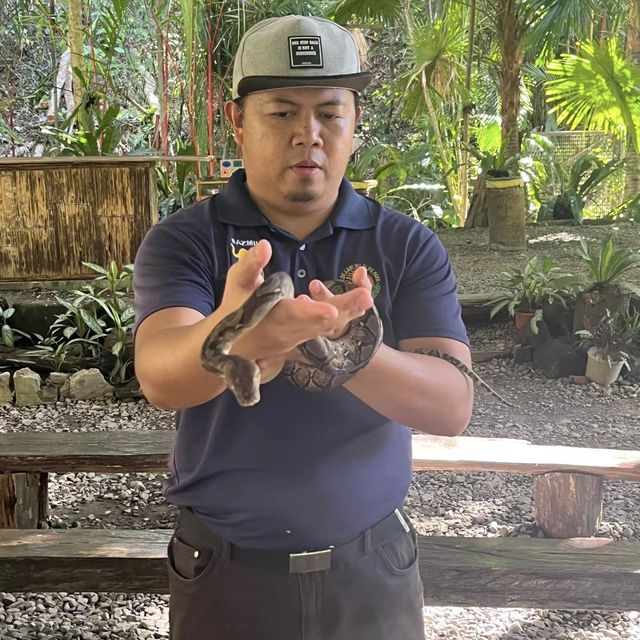 狂野探險！揭秘洛卡宜野生動物園的動物奇遇🦁🌿🐒