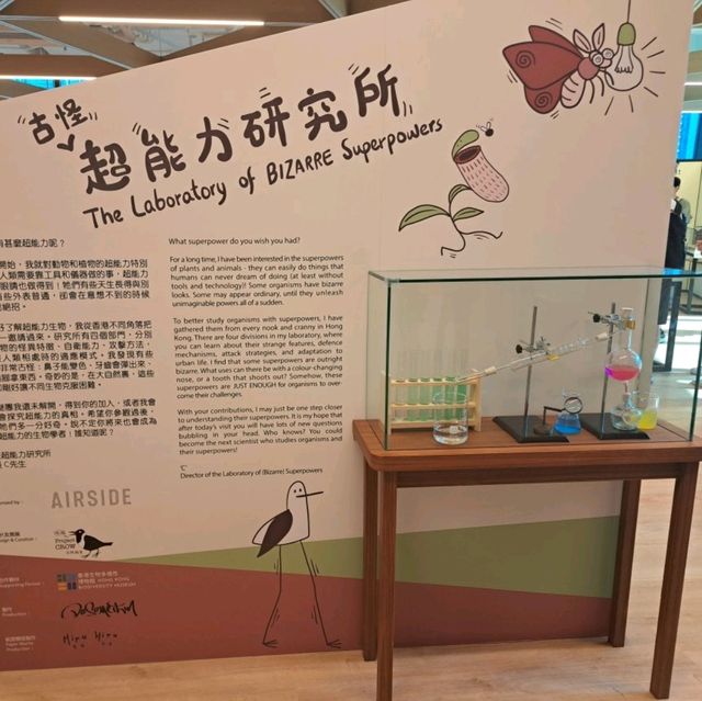 ✨啟德全新大型購物商場AIRSIDE💕吃喝玩樂的新地方😆