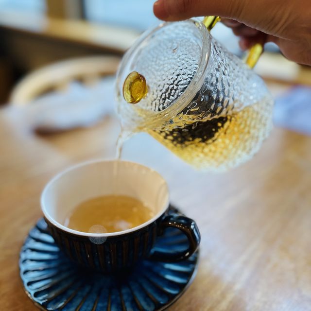 風球下的與貓同樂 風球下的與貓同樂
