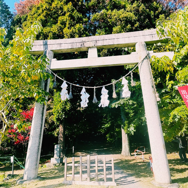 【長野県/紅葉が美しい🍁”出早雄小萩神社”と”出早公園”】