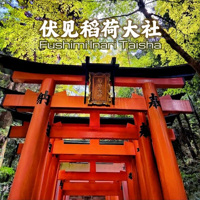 ⛩️ The spectacular Torii Gate experience ⛩️
