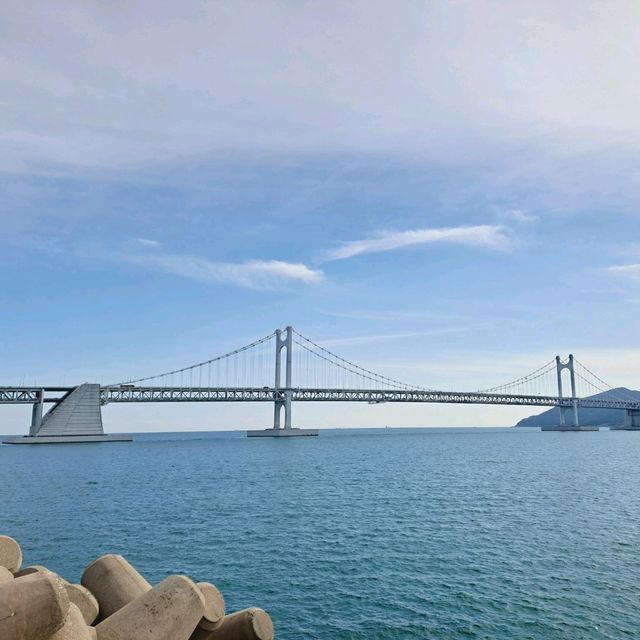 釜山🇰🇷廣安大橋🌁海濱咖啡街～花海片片