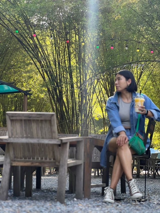 ละลานตา​ ภูเขา+ต้นไม้+ลำธาร
