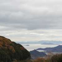 【銚子渓】野生の猿と触れ合える小豆島の観光地