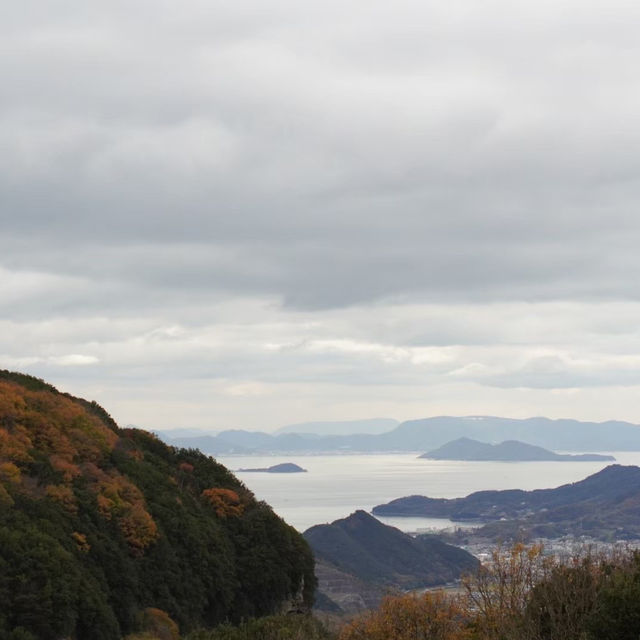 【銚子渓】野生の猿と触れ合える小豆島の観光地