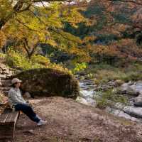  Korankei จุดชมใบไม้เปลี่ยนสีที่สวยมากในญี่ปุ่น