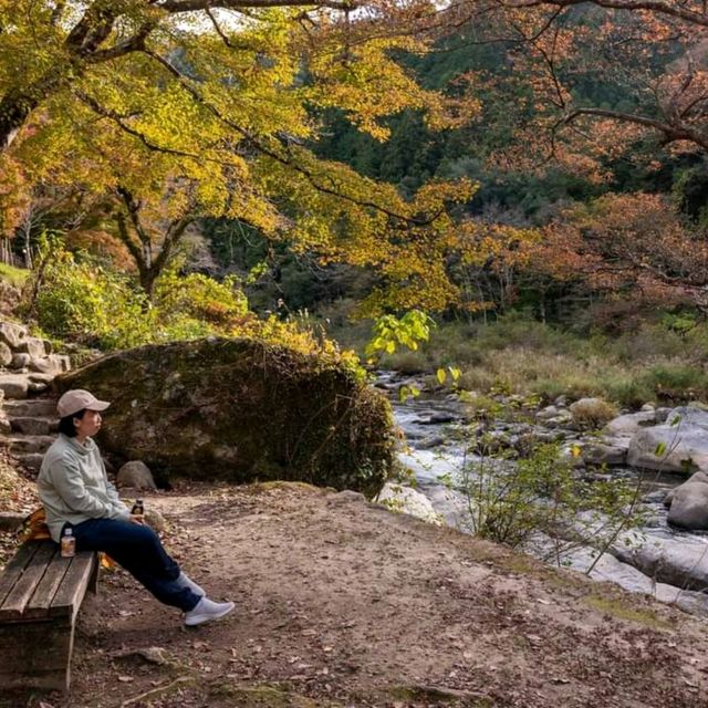  Korankei จุดชมใบไม้เปลี่ยนสีที่สวยมากในญี่ปุ่น