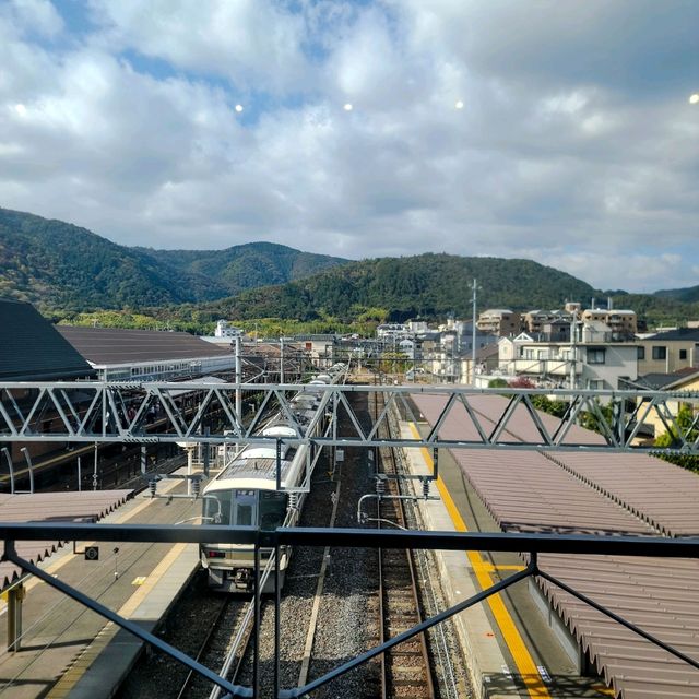 일본여행 교토 아라시야마 산책 