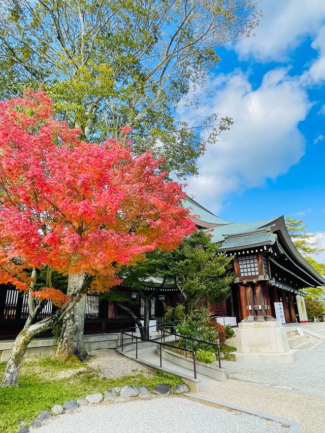 【奈良県/橿原神宮】2023年行ってよかった！奈良県の神社①
