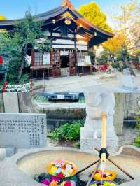 【名古屋】縁結びの木も！うさぎさんがかわいい三輪神社🐰⛩