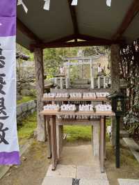 고베의 풍경을 담은 여행 필수 코스 신사⛩️