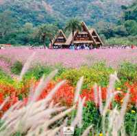 Hokkaido Flower Park Khaoyai