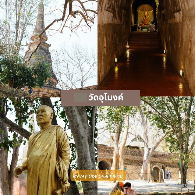 Chiangmai Guide (Part 1/4)