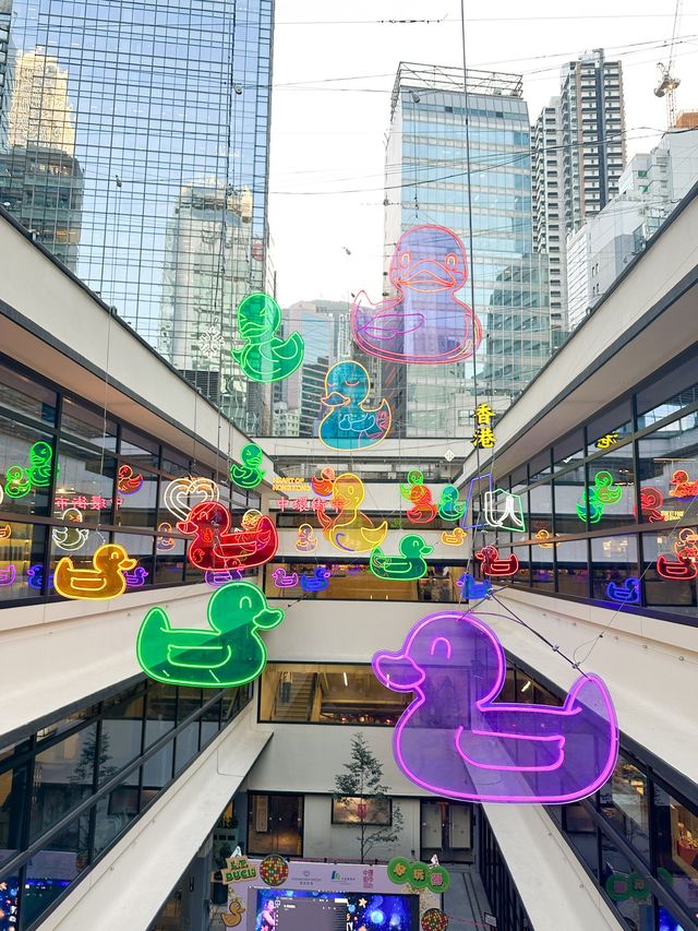 香港｜鴨子主題霓虹燈聖誕裝置🐣💚❤️