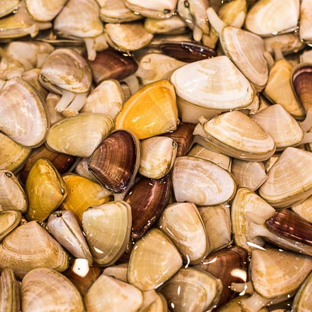 Seafood Paradise at Sydney Fish Market