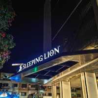 Sleeping Lion Suites