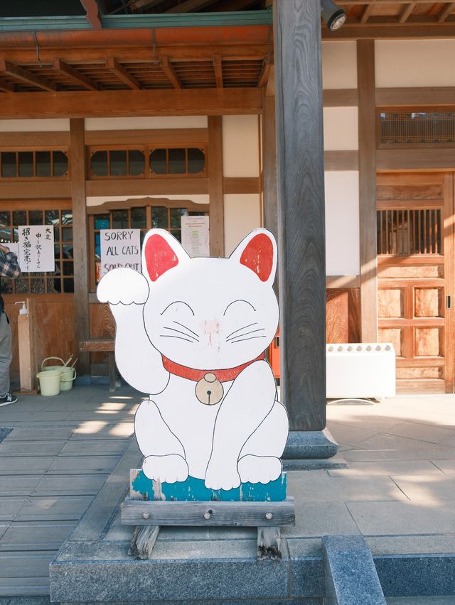 東京｜ 上千隻貓貓排排坐 貓奴們不可錯過的豪德寺