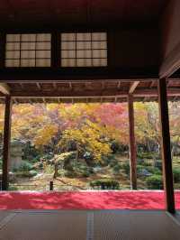 《不能錯過的圓光寺》