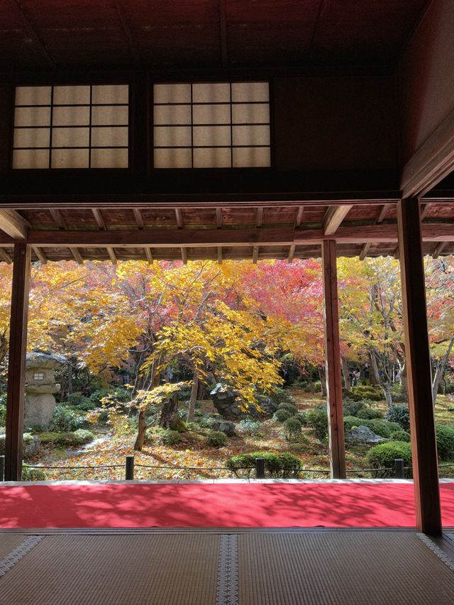 《不能錯過的圓光寺》