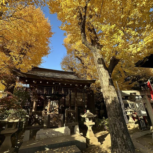 兩個東京巿區隱敞超美銀杏神社