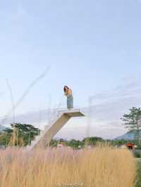 Bliss & Bloom Cafe ทับลาน