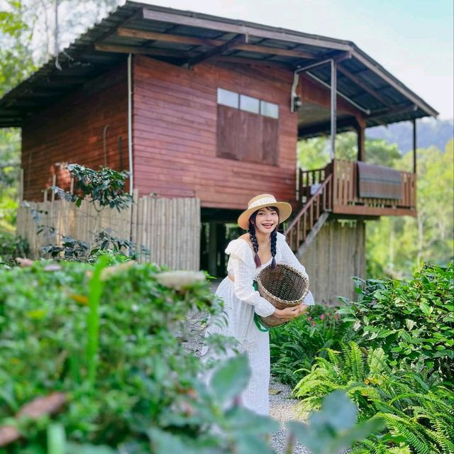 ไร่ชาโฮมสเตย์🌿 ความธรรมดาที่แสนพิเศษ