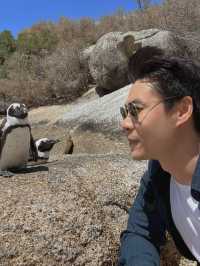 Boulders Beach : Simon's Town หาดแพนกวิ้น