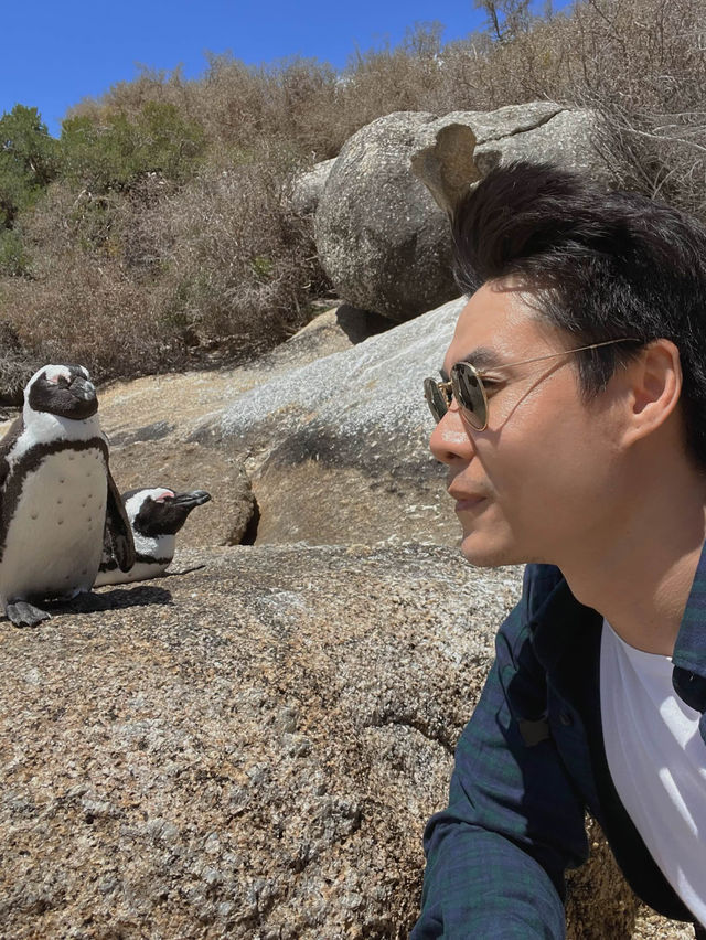 Boulders Beach : Simon's Town หาดแพนกวิ้น