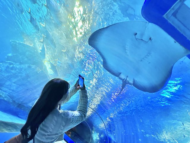 부산에 하나뿐인 아쿠아리움🐳