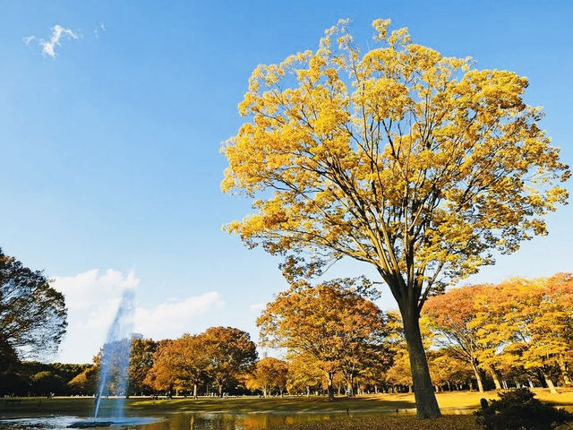 Yoyogi Park