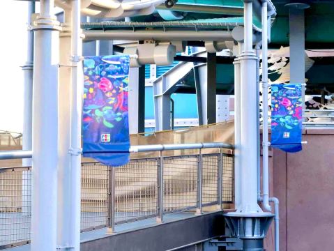 Nemo & Friends SeaRider | Trip.com Urayasu